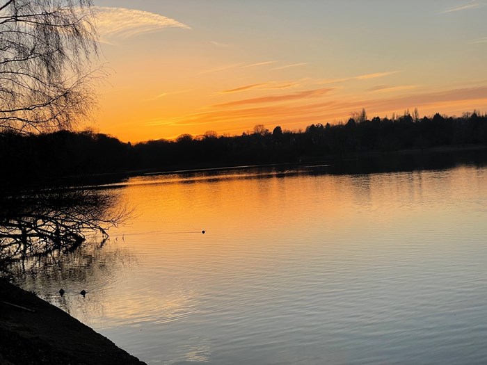 Reservoir Ducks 